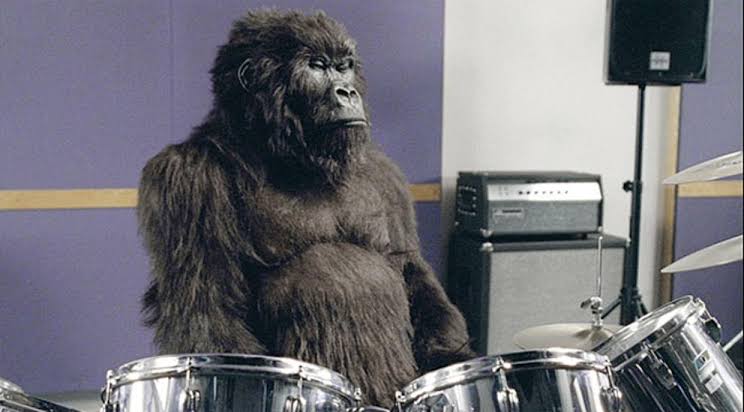 gorilla on drums